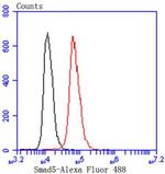 SMAD5 Antibody in Flow Cytometry (Flow)