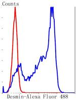 Desmin Antibody in Flow Cytometry (Flow)