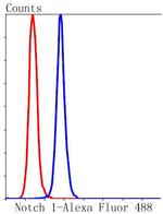 NOTCH1 Antibody in Flow Cytometry (Flow)