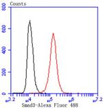 SMAD3 Antibody in Flow Cytometry (Flow)