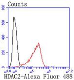 HDAC2 Antibody in Flow Cytometry (Flow)