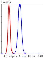 PKC alpha Antibody in Flow Cytometry (Flow)