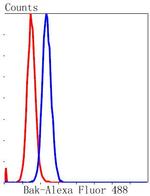 BAK Antibody in Flow Cytometry (Flow)