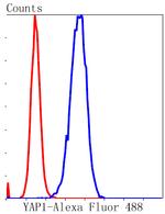 YAP1 Antibody in Flow Cytometry (Flow)