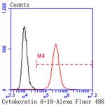 Cytokeratin 8 Antibody in Flow Cytometry (Flow)