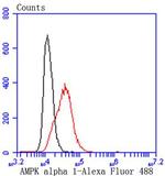 AMPK alpha-1 Antibody in Flow Cytometry (Flow)