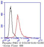 Phospho-PAK1/2/3 (Ser144, Ser141, Ser139) Antibody in Flow Cytometry (Flow)