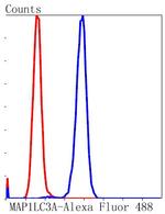 LC3A Antibody in Flow Cytometry (Flow)