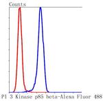 PIK3R2 Antibody in Flow Cytometry (Flow)