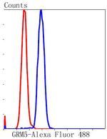 mGluR5 Antibody in Flow Cytometry (Flow)