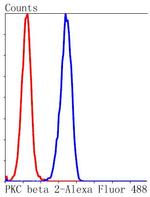 PKC beta-2 Antibody in Flow Cytometry (Flow)