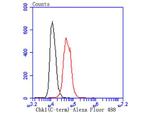 Chk1 Antibody in Flow Cytometry (Flow)