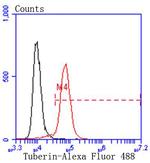 TSC2 Antibody in Flow Cytometry (Flow)