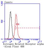 ESRRA Antibody in Flow Cytometry (Flow)