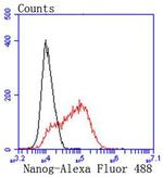 Nanog Antibody in Flow Cytometry (Flow)