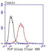 CD230 (PrP) Antibody in Flow Cytometry (Flow)