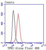 TPH1 Antibody in Flow Cytometry (Flow)