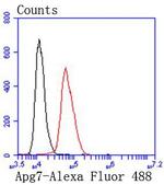 ATG7 Antibody in Flow Cytometry (Flow)