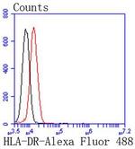 HLA-DR Antibody in Flow Cytometry (Flow)