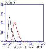 SCF Antibody in Flow Cytometry (Flow)