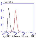 MyD88 Antibody in Flow Cytometry (Flow)