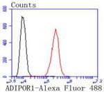 Adiponectin Receptor 1 Antibody in Flow Cytometry (Flow)