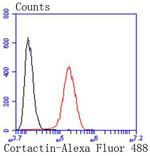 Cortactin Antibody in Flow Cytometry (Flow)