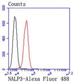 NLRP3 Antibody in Flow Cytometry (Flow)