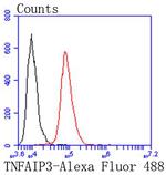 TNFAIP3 Antibody in Flow Cytometry (Flow)