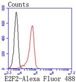 E2F2 Antibody in Flow Cytometry (Flow)