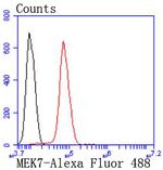 MKK7 Antibody in Flow Cytometry (Flow)