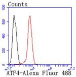 ATF4 Antibody in Flow Cytometry (Flow)