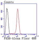 PAX6 Antibody in Flow Cytometry (Flow)