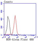 RON Antibody in Flow Cytometry (Flow)