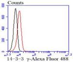 14-3-3 gamma Antibody in Flow Cytometry (Flow)