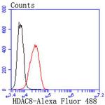 HDAC8 Antibody in Flow Cytometry (Flow)