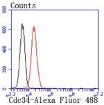 Cdc34 Antibody in Flow Cytometry (Flow)