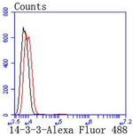 14-3-3 beta/zeta Antibody in Flow Cytometry (Flow)