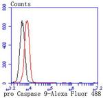 pro-Caspase 9 Antibody in Flow Cytometry (Flow)