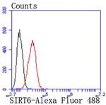 SIRT6 Antibody in Flow Cytometry (Flow)