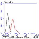 STAT5 alpha/beta Antibody in Flow Cytometry (Flow)