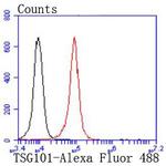 TSG101 Antibody in Flow Cytometry (Flow)