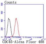 Cdc45L Antibody in Flow Cytometry (Flow)