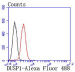 MKP-1 Antibody in Flow Cytometry (Flow)