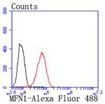 MFN1 Antibody in Flow Cytometry (Flow)