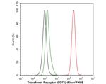 CD71 (Transferrin Receptor) Antibody in Immunohistochemistry (Paraffin) (IHC (P))