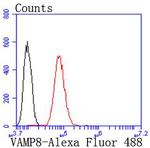 VAMP8 Antibody in Flow Cytometry (Flow)