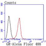 Glucocorticoid Receptor Antibody in Flow Cytometry (Flow)