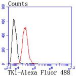 TK1 Antibody in Flow Cytometry (Flow)