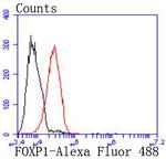 FOXP1 Antibody in Flow Cytometry (Flow)